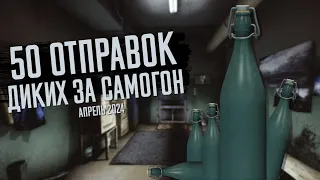 50+ ОТПРАВОК ДИКИХ ЗА САМОГОН в ESCAPE FROM TARKOV | ТАРКОВ | EFT