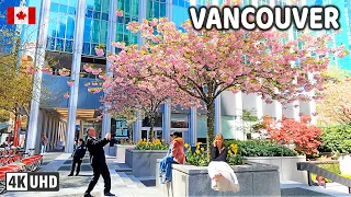 🇨🇦 【4K】☀️🌸  Downtown Vancouver BC, Canada. Cherry Blossom. Amazing sunny day.  April 17, 2024.