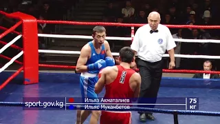 Финал: Ильяс Муканбетов - Ильяз Акматалиев весовая категория до 75 кг