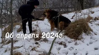 06 апреля 2024г.