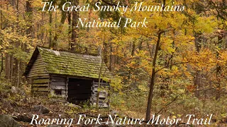 The Great Smoky Mountains National Park | Roaring Fork Nature Motor Trail