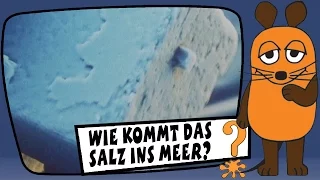 Wie kommt das Salz ins Meer? - Sachgeschichten mit Armin Maiwald