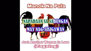 MANOK NA PULA- LYRICS KARAOKE