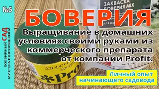 БОВЕРИЯ своими руками в домашних условиях. Как вырастить из коммерческих препаратов PROFIT. Мой опыт