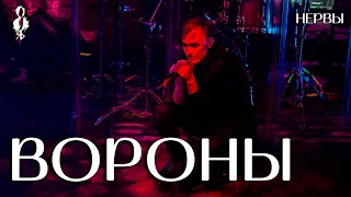 Ярослав Баярунас - Вороны (cover «Нервы»)