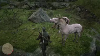 Catching a wild Andalusian horse Rdr2 + Location on map