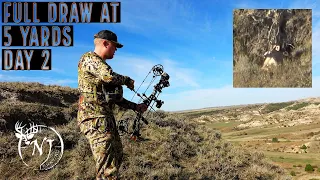 2021 North Dakota Archery Mule Deer (Day 2 "Full Draw at 5 Yards!")