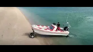 Check out this really cool Amphibious Boat on land and sea