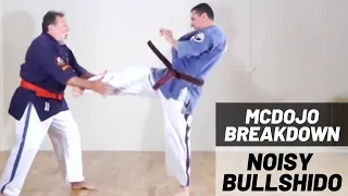 McDojo Breakdown: Noisy Bullshido