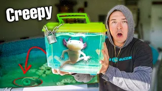 Unboxing the CREEPIEST FISH MYSTERY BOX Ever...