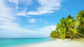 10 hours Tropical Beach Ocean Sounds for Deep Sleep, Relaxation,  Meditation and Study