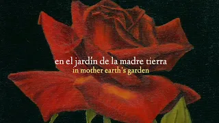Rosendale - The Rose || Español - English