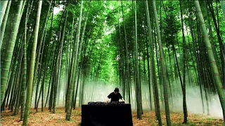 Yamato / DJ Performance - AUTUMN - (short ver.)