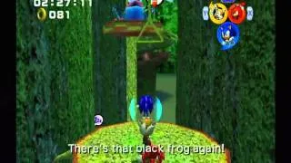 Sonic Heroes (GC) Team Sonic Lost Jungle Mission 2 A Rank