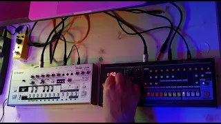 Roland Boutique TB-03 and TR-08 Roland retro acid house jam