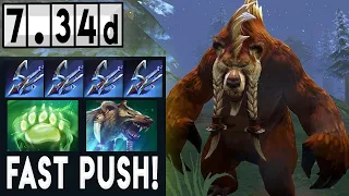 Lone Druid - Fast Push [Full Match Gameplay Dota 2] 7.34d