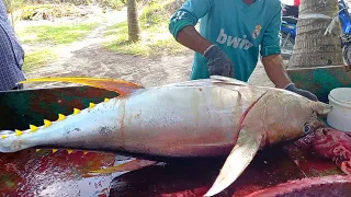 20 Kg Giant Bluefin Tuna Cutting Skills | Amazing Fish Cutting In Maldives Fish Market | Fish Fillet