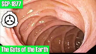 SCP-1877 The Guts of the Earth | object class safe