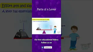 Lever | Types of Levers | Parts of Lever | Application of Levers | Simple Machine | Science #shorts