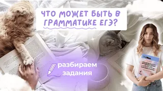 Что может быть в грамматике ЕГЭ? Разбираем задания