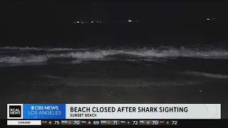 Beach closed after shark activity at Sunset Beach