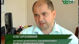 Селяни починають продавати корів через неспроможність їх утримувати