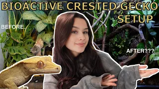 I UPGRADED My Crested Gecko Enclosure! - *BIOACTIVE SETUP*