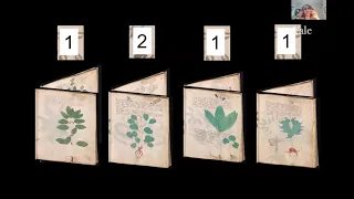 Voynich Manuscript w/ Lisa Fagin Davis, Raymond Clemens, Claire Bowern  Mondays at Beinecke 7/12/21