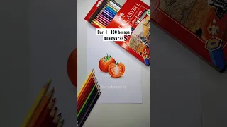 Menggambar tomat menggunakan pensil warna