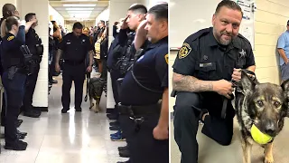 Cops Form Corridor to Salute a K-9 Officer – The Heartbreaking Reason Will Move You to Tears