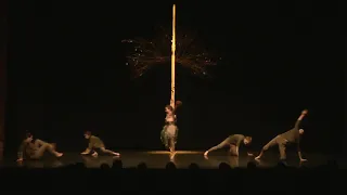 La terre vue du ciel | contemporary dance choreography