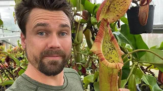 Carnivorous Plants! 2020 Highland Greenhouse Tour Part 1