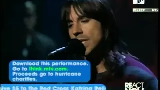 Red Hot Chili Peppers - Under The bridge (Live, "Katrina" hurricane 2005)