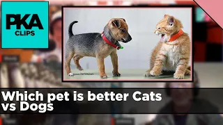 Which pet is better Cats vs Dogs - PKA Clip