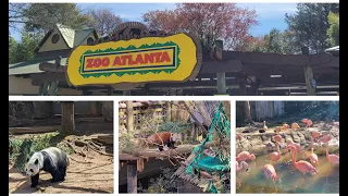 Zoo Atlanta - so fun and so much to see
