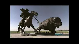 AMERICAN BISON - The Return of the Buffalo