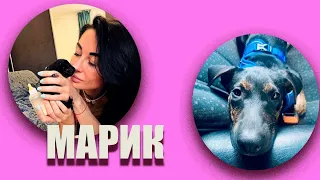 Марик - кошкин сын 🥰