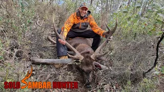 THE UNEXPECTED 30 INCH SAMBAR STAG - EP08 - SOLO SAMBAR HUNTER - Hunting Sambar deer Australia.