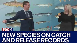 Species added to catch and release MN records