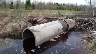 Майские праздники продолжаются.