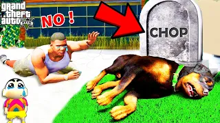 Who KILLED CHOP in GTA 5 ? Franklin Find | SHINCHAN and CHOP