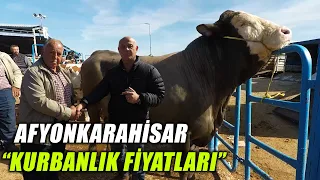 En Güncel Afyonkarahisar Kurbanlık Fiyatları | Bakmadan Piyasaya Çıkma