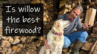 Willow is probably the best firewood in the world...!