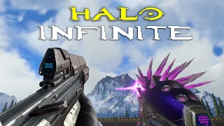 Halo Infinite - All Weapons Showcase [1440p 60fps]