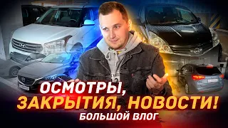 Скрутка пробега на Корейцах / Поиск Мазда 6 в разные Бюджеты - VLOG