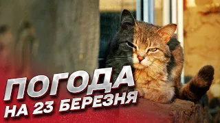 🌦️ Погода на 23 березня: де очікувати сюрпризів?