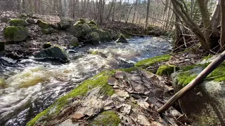 Лесной ручей. Источник, Звук ручья  3 часа Forest stream. Source, Sound of a stream, 3 hours
