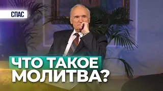 Что такое молитва? (ТК «Спас», 2017.04.13) — Осипов А.И.