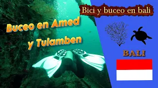 8.- Bali. Buceo en Amed y Tulamben.
