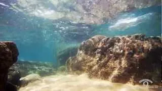 So much Magnificence. Relaxing underwater video.
